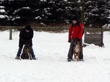 Coursing únor 21_02_2009 136.jpg