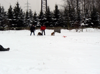 Coursing únor 21_02_2009 138.jpg